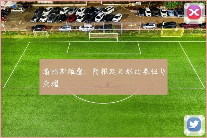 潘帕斯雄鹰：阿根廷足球的象征与荣耀